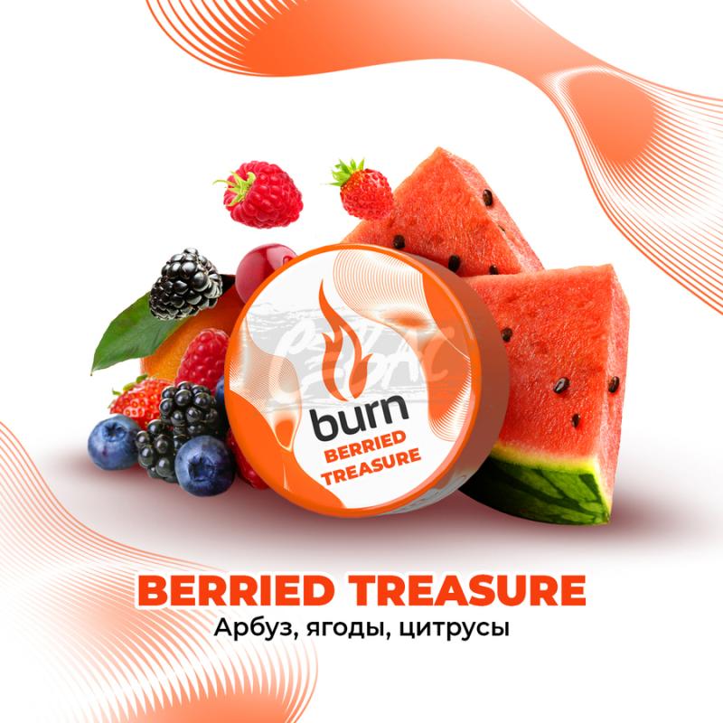 Burn Berried Treasure - Арбуз, ягоды, цитрус 25гр на сайте Севас.рф