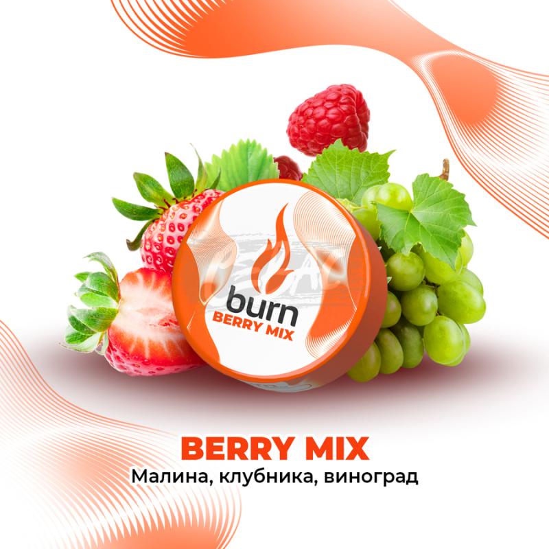 Burn Berry Mix - Клубника с малиной и виноградом 25гр на сайте Севас.рф