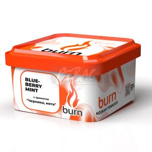 Burn Blueberry Mint - Черника с мятой 200гр