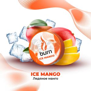 Burn Ice Mango - Ледяное Манго 25гр