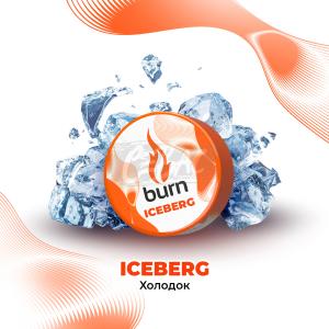 Burn Iceberg - Холодок 25гр