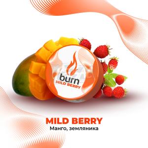 Burn Mild Berry - Манго с лесными ягодами 25гр