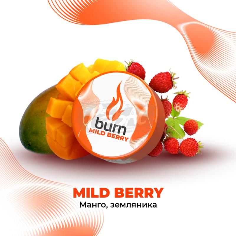 Burn Mild Berry - Манго с лесными ягодами 25гр на сайте Севас.рф