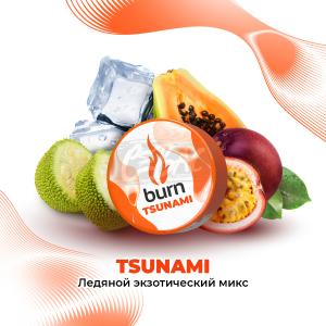 Burn Tsunami - Экзотические фрукты 25гр