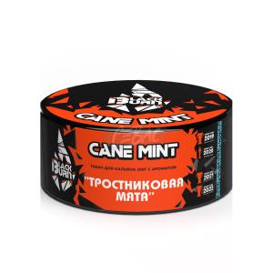Black Burn Cane Mint - Тростниковая мята 100гр