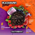 Black Burn Epic Yogurt - Черничный йогурт 100гр на сайте Севас.рф