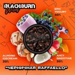 Black Burn Epic Yogurt - Черничный йогурт 200гр на сайте Севас.рф