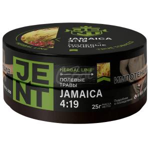 JENT Herbal Jamaica - Полевые травы 25гр