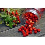 Spectrum Smallberry (Земляника) 40гр на сайте Севас.рф