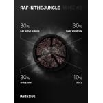 Табак Darkside Core RAF IN THE JUNGLE / Раф с апельсином 100гр