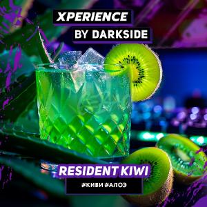 Darkside XPERIENCE RESIDENT KIWI 30гр