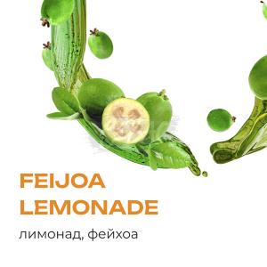 ELEMENT Земля Feijoa Lemonade - Лимонад из Фейхоа 200гр