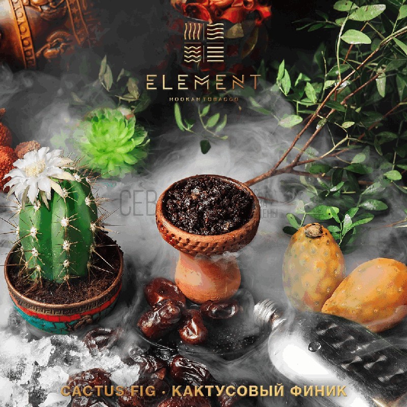 ELEMENT Вода - Cactus and fig ( Кактусовый финик)  100гр на сайте Севас.рф
