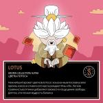 Satyr LOTUS - Цветы Лотоса 100 гр на сайте Севас.рф
